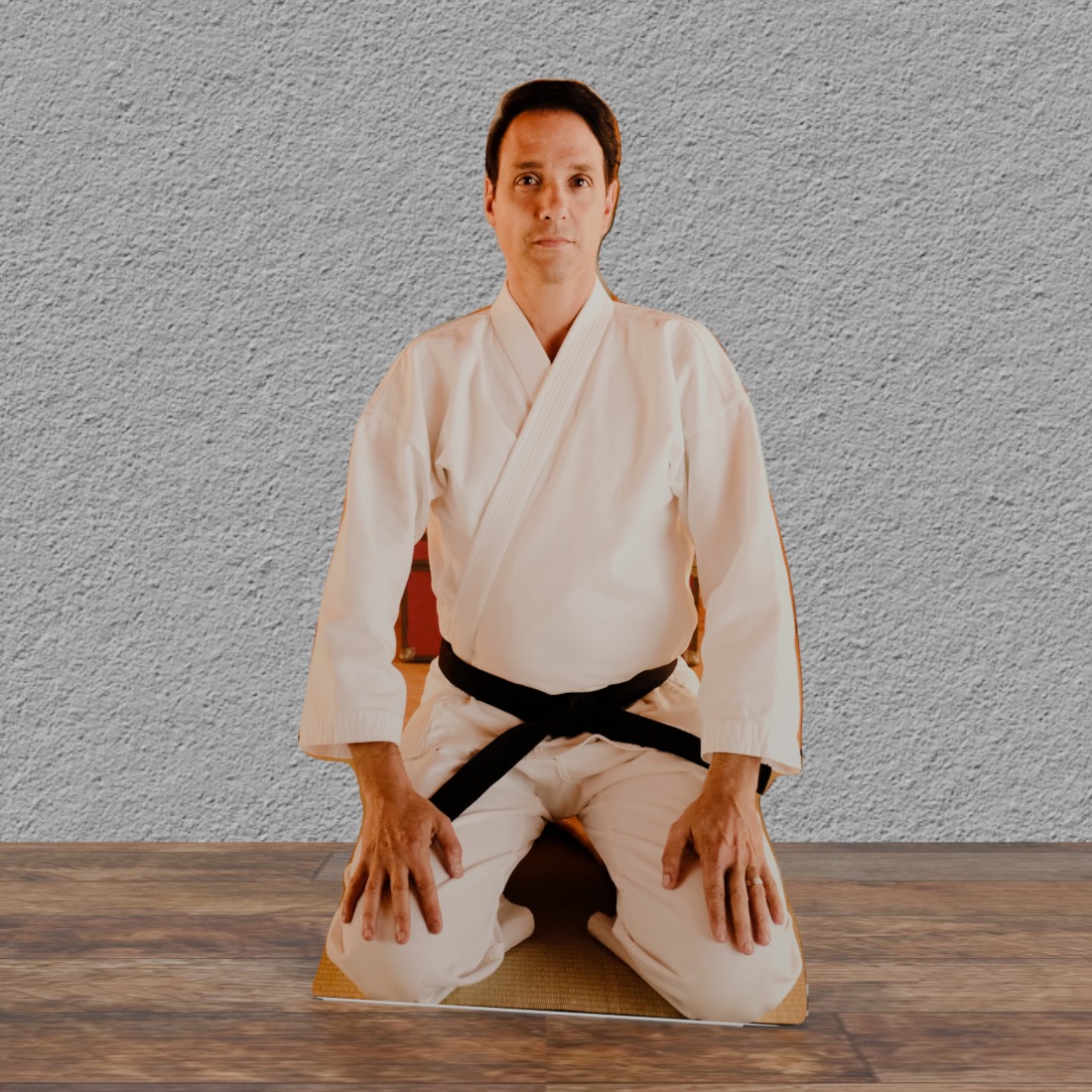 Daniel Larusso - Ralph Macchio Cobra KAI - 67" Tall Cardboard Cutout Standee